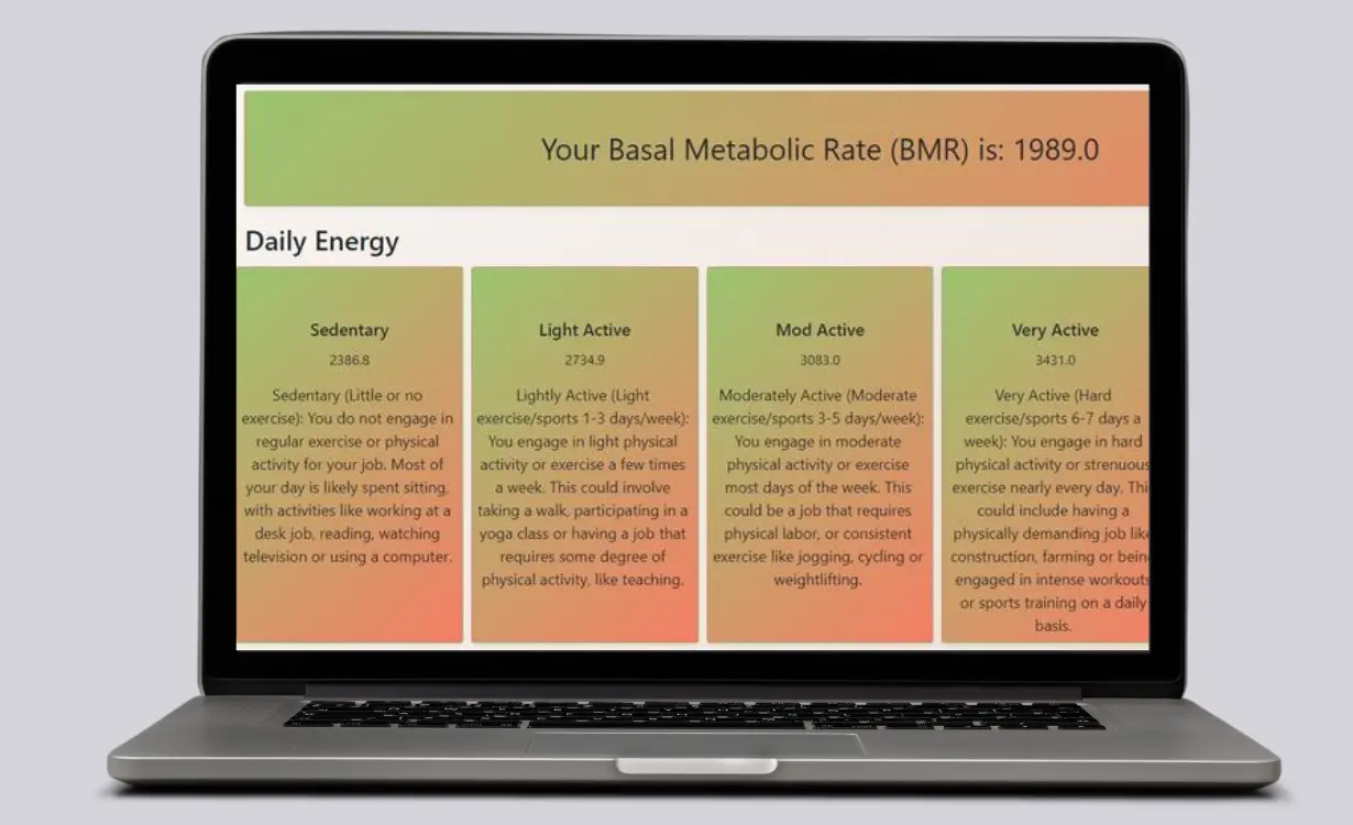 Energy Balance Calculator - Custom Tools Project - Codocraft Portfolio 2 | Built by Codocraft Solutions
