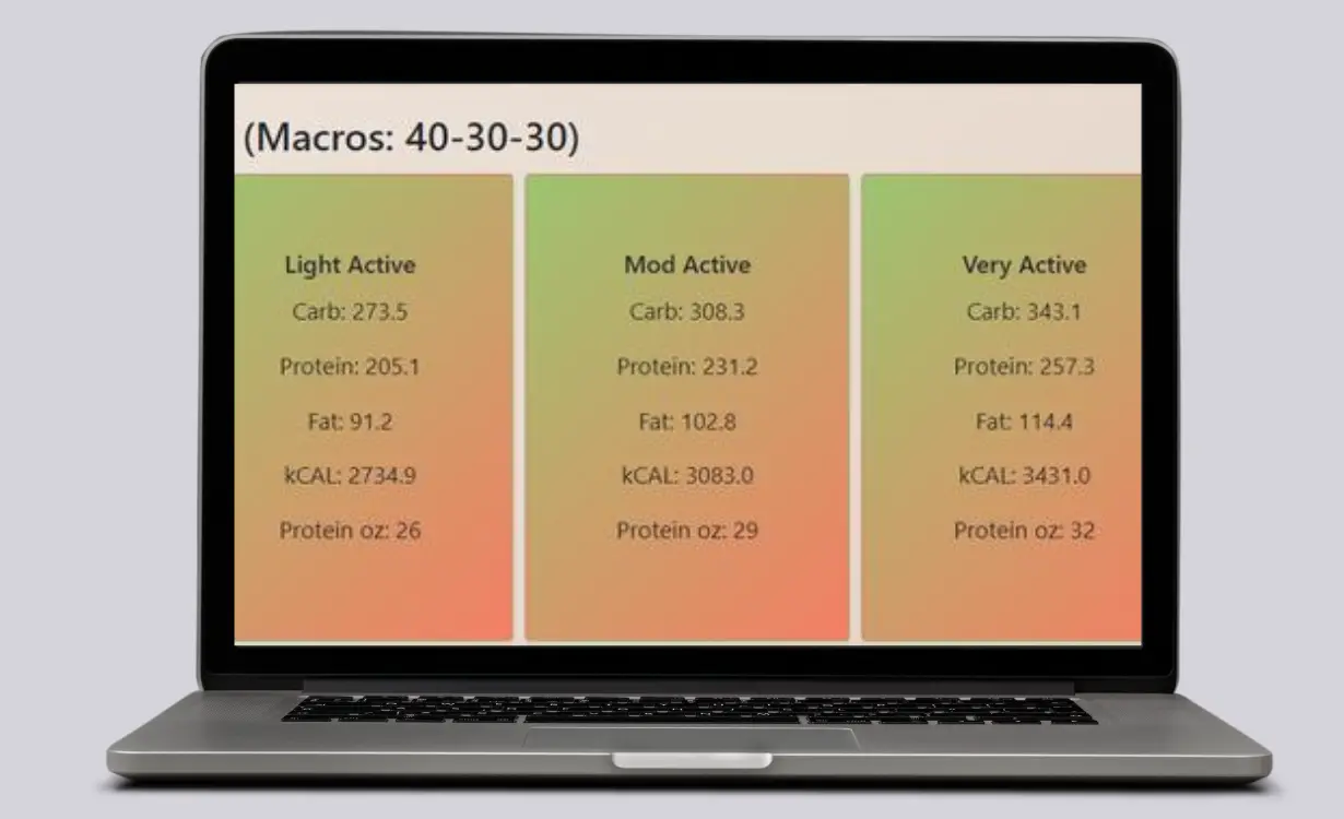Energy Balance Calculator - Custom Tools Project - Codocraft Portfolio 3 | Built by Codocraft Solutions